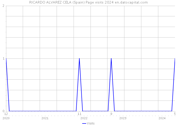 RICARDO ALVAREZ CELA (Spain) Page visits 2024 