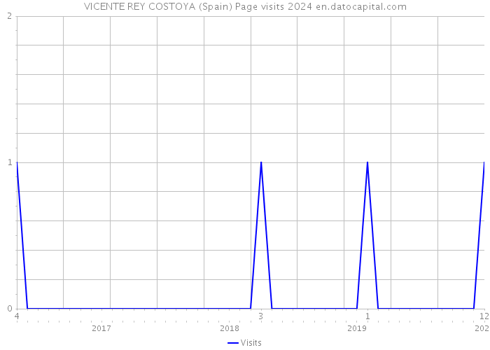 VICENTE REY COSTOYA (Spain) Page visits 2024 