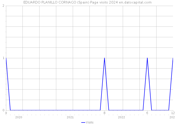 EDUARDO PLANILLO CORNAGO (Spain) Page visits 2024 