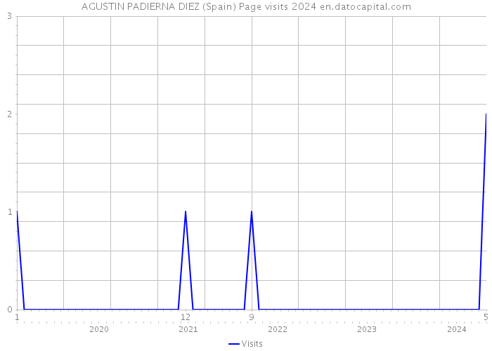 AGUSTIN PADIERNA DIEZ (Spain) Page visits 2024 