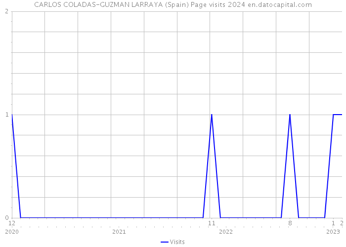 CARLOS COLADAS-GUZMAN LARRAYA (Spain) Page visits 2024 