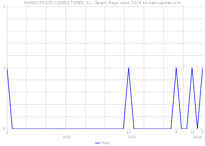 PARDO PAZOS CONSULTORES, S.L. (Spain) Page visits 2024 