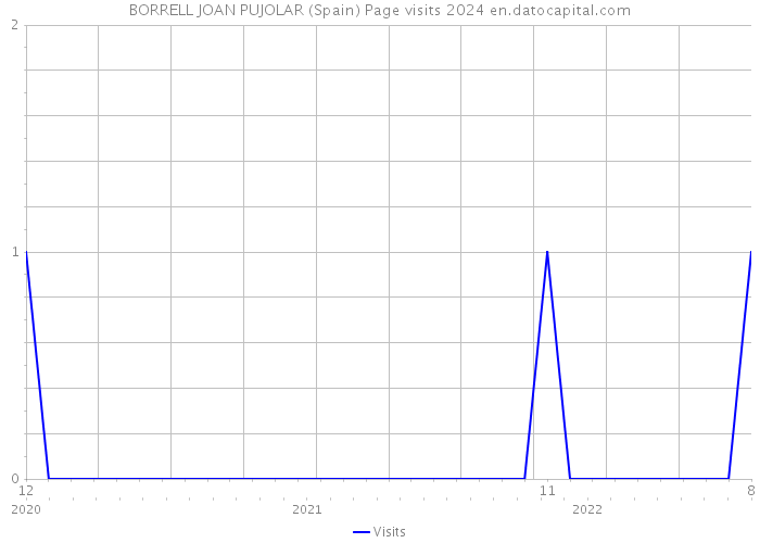 BORRELL JOAN PUJOLAR (Spain) Page visits 2024 