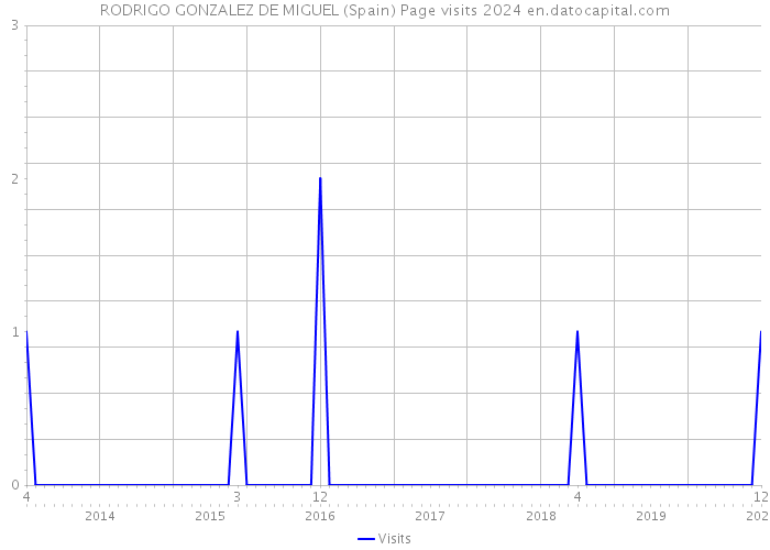 RODRIGO GONZALEZ DE MIGUEL (Spain) Page visits 2024 