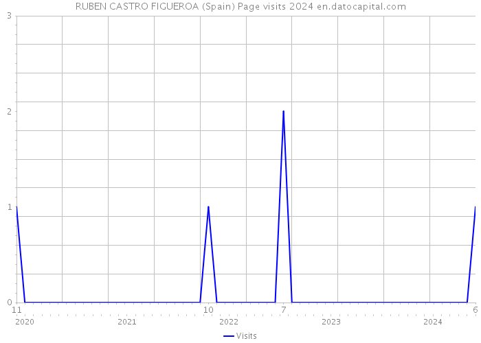 RUBEN CASTRO FIGUEROA (Spain) Page visits 2024 