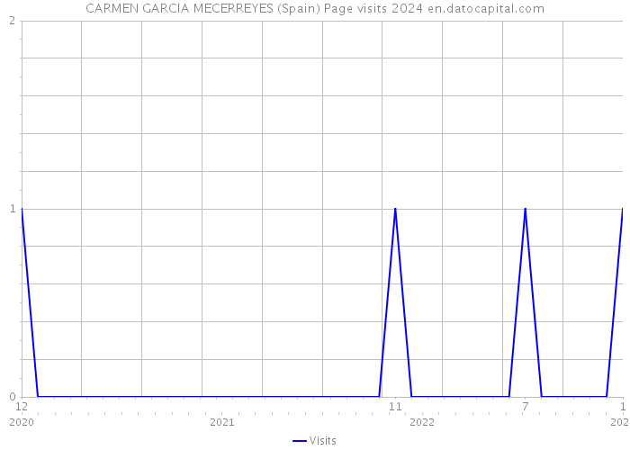 CARMEN GARCIA MECERREYES (Spain) Page visits 2024 