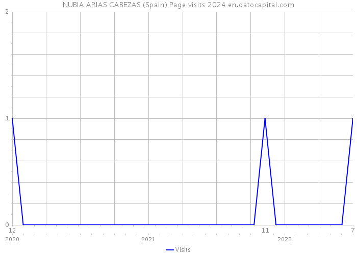 NUBIA ARIAS CABEZAS (Spain) Page visits 2024 