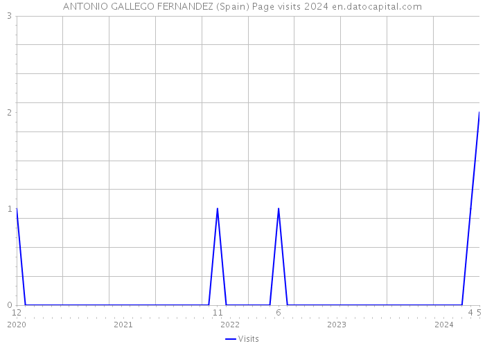 ANTONIO GALLEGO FERNANDEZ (Spain) Page visits 2024 
