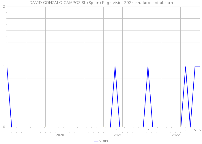 DAVID GONZALO CAMPOS SL (Spain) Page visits 2024 