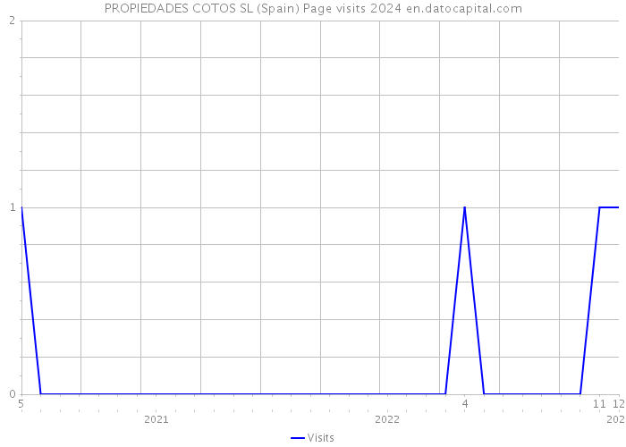PROPIEDADES COTOS SL (Spain) Page visits 2024 