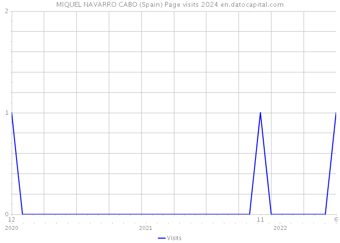 MIQUEL NAVARRO CABO (Spain) Page visits 2024 