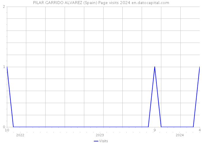 PILAR GARRIDO ALVAREZ (Spain) Page visits 2024 