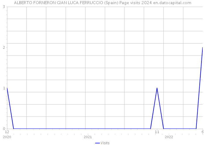 ALBERTO FORNERON GIAN LUCA FERRUCCIO (Spain) Page visits 2024 