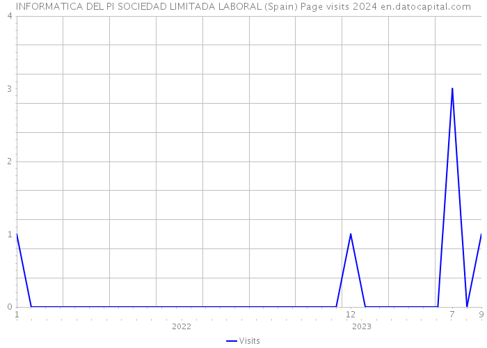 INFORMATICA DEL PI SOCIEDAD LIMITADA LABORAL (Spain) Page visits 2024 