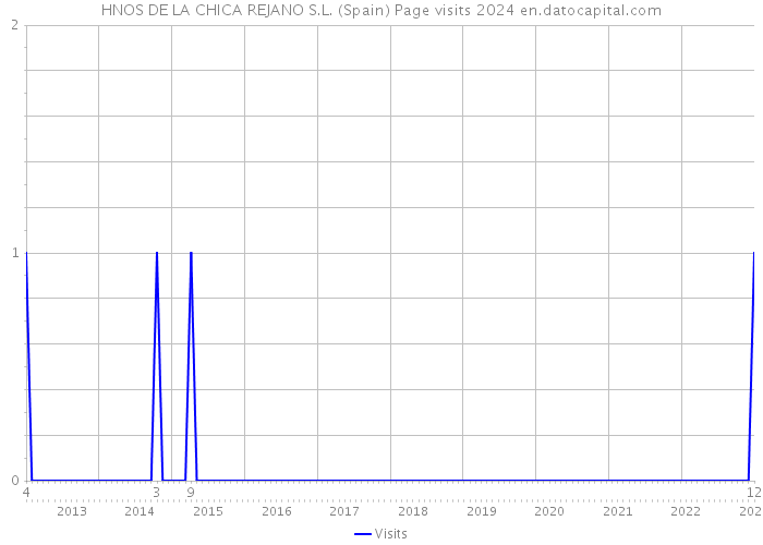 HNOS DE LA CHICA REJANO S.L. (Spain) Page visits 2024 