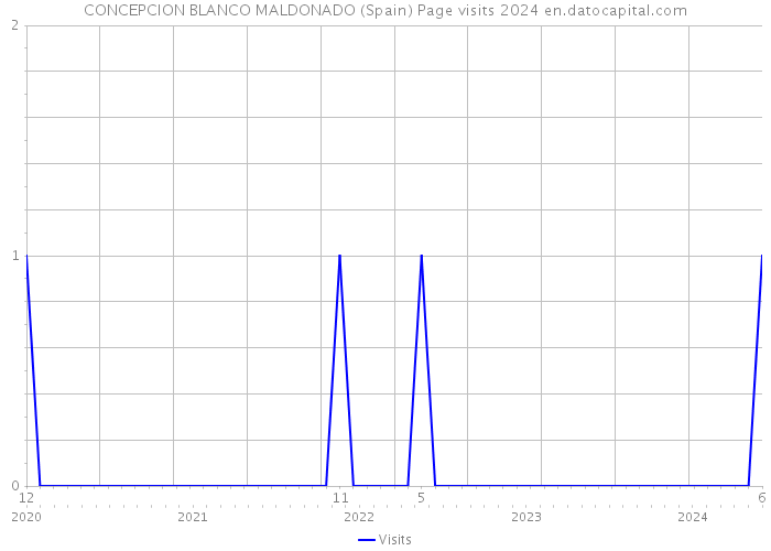 CONCEPCION BLANCO MALDONADO (Spain) Page visits 2024 