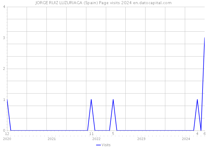 JORGE RUIZ LUZURIAGA (Spain) Page visits 2024 