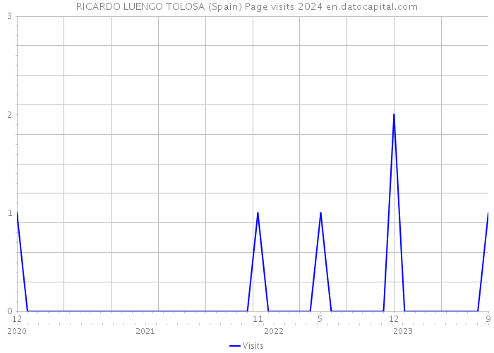 RICARDO LUENGO TOLOSA (Spain) Page visits 2024 