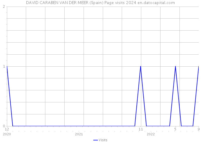 DAVID CARABEN VAN DER MEER (Spain) Page visits 2024 