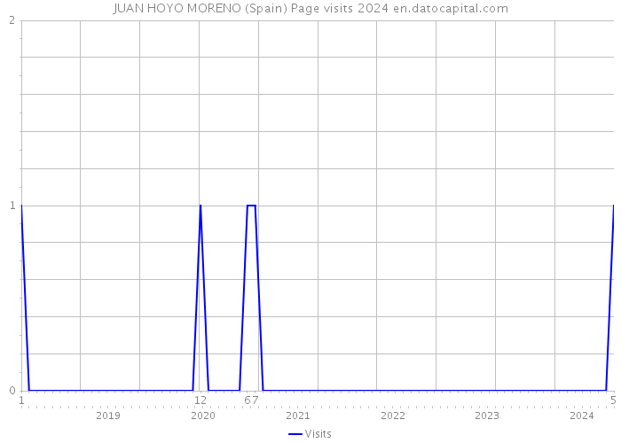JUAN HOYO MORENO (Spain) Page visits 2024 