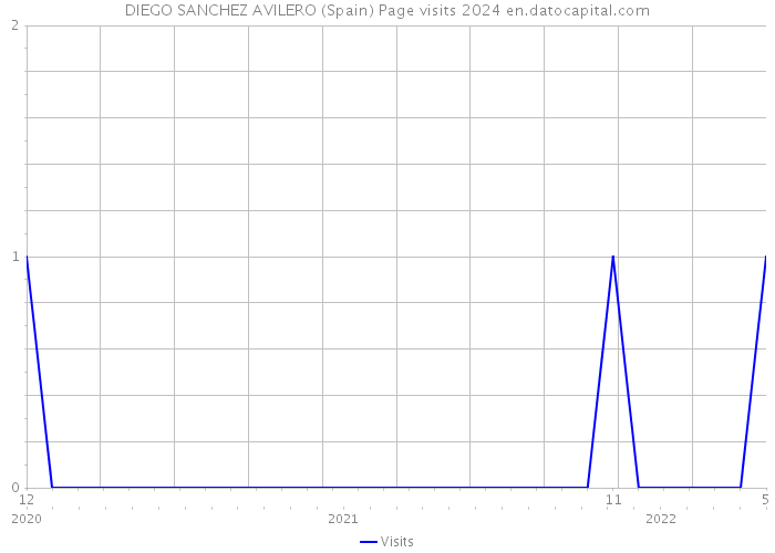 DIEGO SANCHEZ AVILERO (Spain) Page visits 2024 