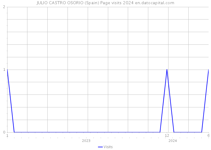 JULIO CASTRO OSORIO (Spain) Page visits 2024 