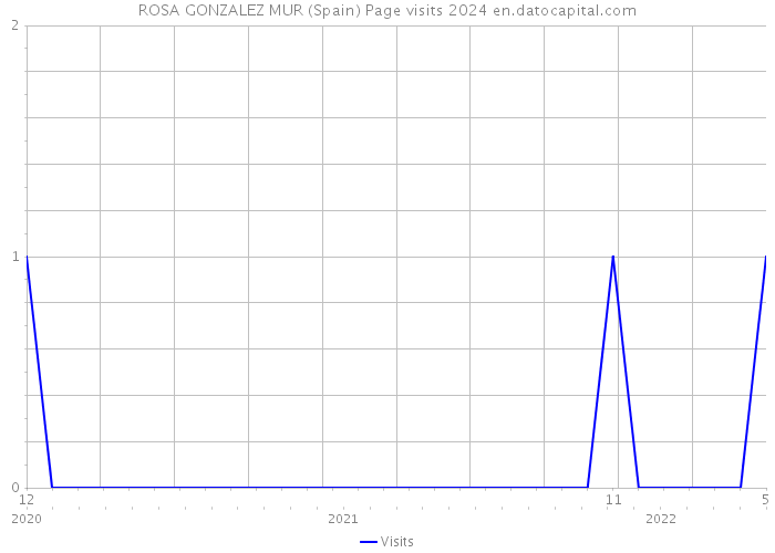 ROSA GONZALEZ MUR (Spain) Page visits 2024 