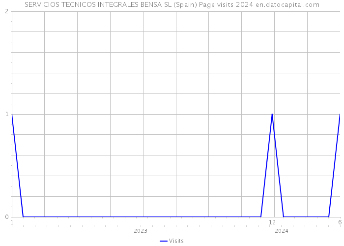 SERVICIOS TECNICOS INTEGRALES BENSA SL (Spain) Page visits 2024 
