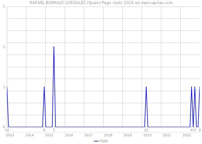 RAFAEL BORRAJO GONZALEZ (Spain) Page visits 2024 