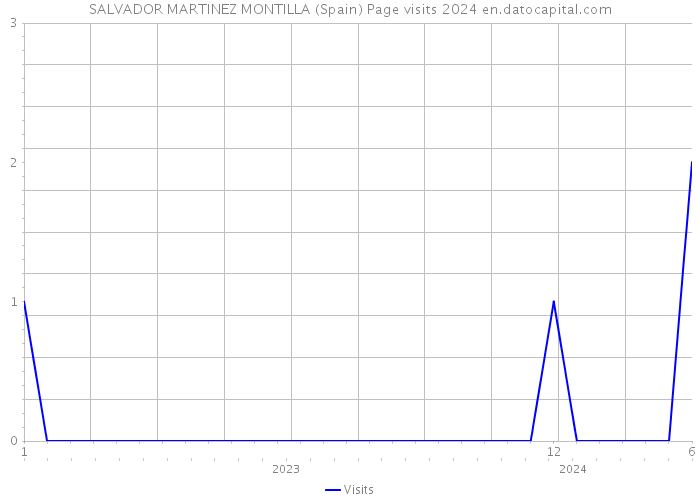 SALVADOR MARTINEZ MONTILLA (Spain) Page visits 2024 