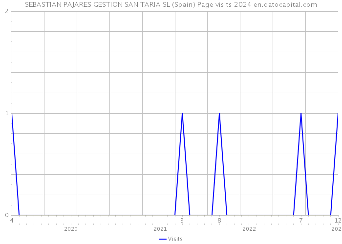 SEBASTIAN PAJARES GESTION SANITARIA SL (Spain) Page visits 2024 