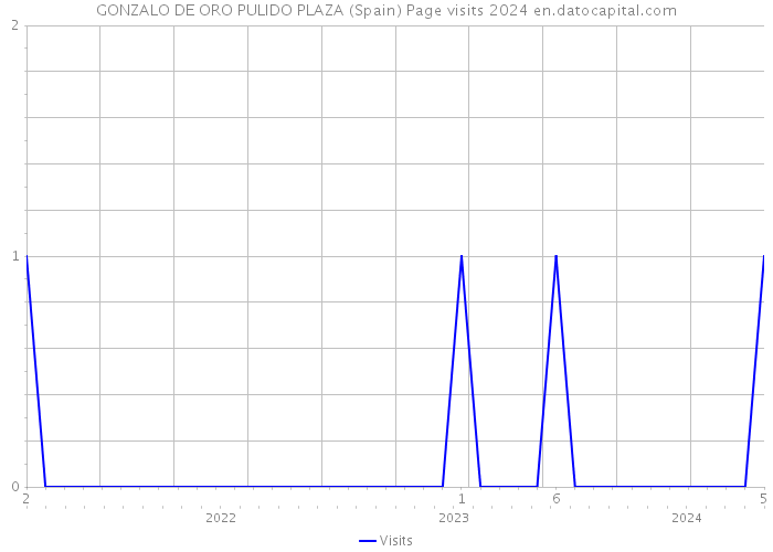 GONZALO DE ORO PULIDO PLAZA (Spain) Page visits 2024 