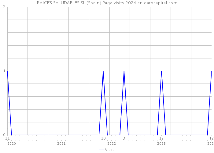 RAICES SALUDABLES SL (Spain) Page visits 2024 