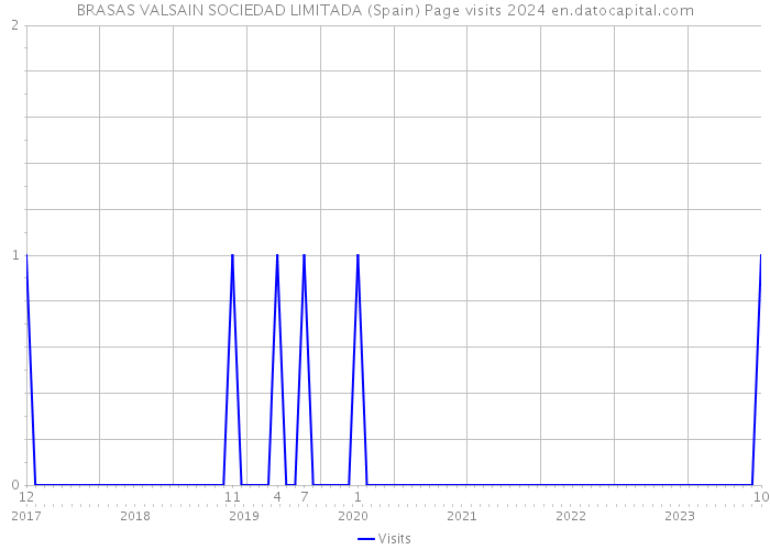 BRASAS VALSAIN SOCIEDAD LIMITADA (Spain) Page visits 2024 