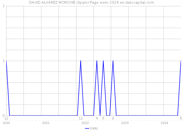 DAVID ALVAREZ MORICHE (Spain) Page visits 2024 