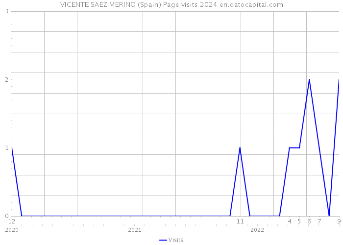 VICENTE SAEZ MERINO (Spain) Page visits 2024 