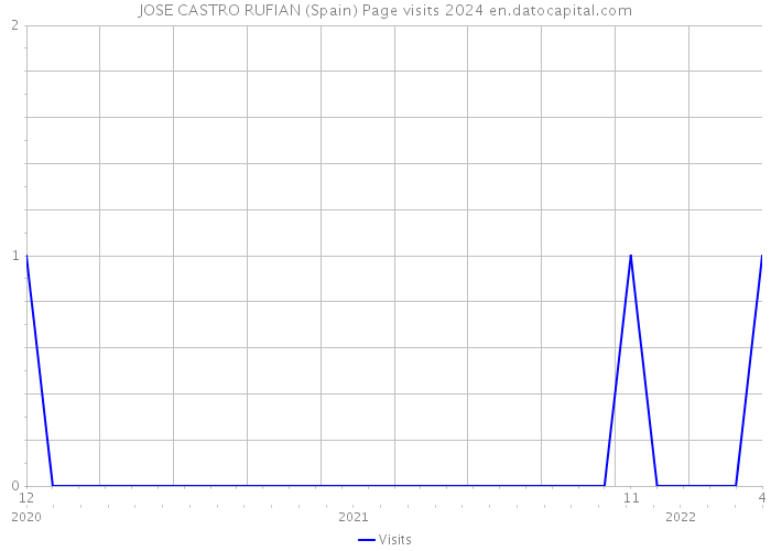 JOSE CASTRO RUFIAN (Spain) Page visits 2024 