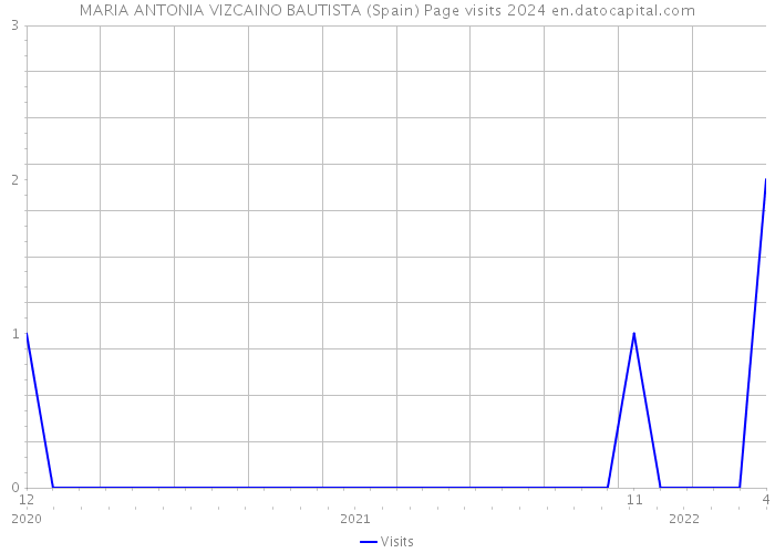 MARIA ANTONIA VIZCAINO BAUTISTA (Spain) Page visits 2024 