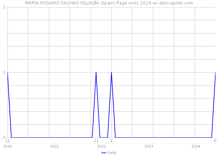 MARIA ROSARIO SALINAS VILLALBA (Spain) Page visits 2024 