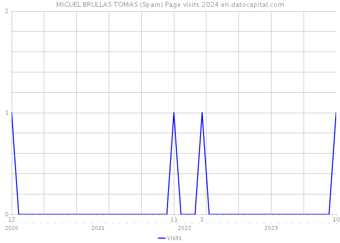 MIGUEL BRULLAS TOMAS (Spain) Page visits 2024 