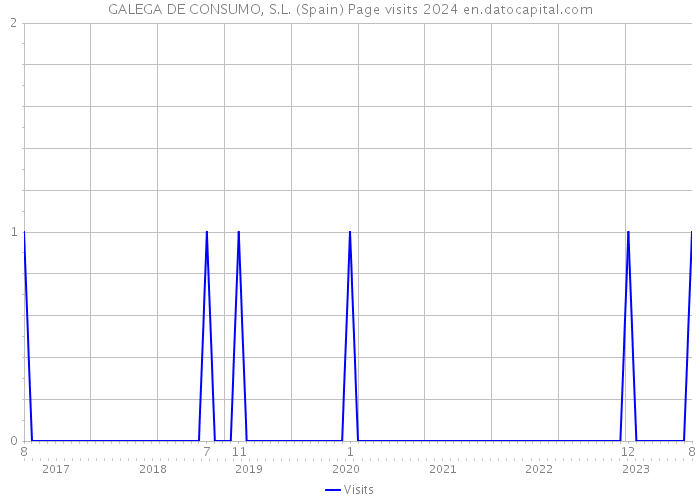 GALEGA DE CONSUMO, S.L. (Spain) Page visits 2024 