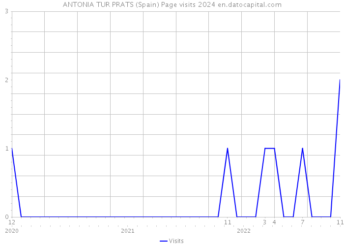 ANTONIA TUR PRATS (Spain) Page visits 2024 