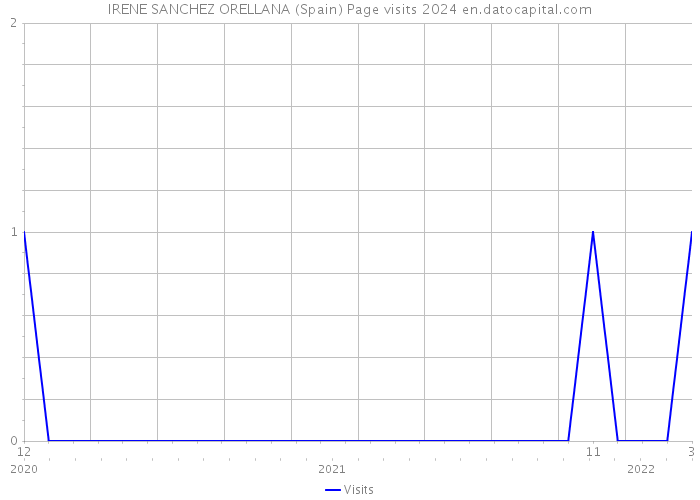 IRENE SANCHEZ ORELLANA (Spain) Page visits 2024 