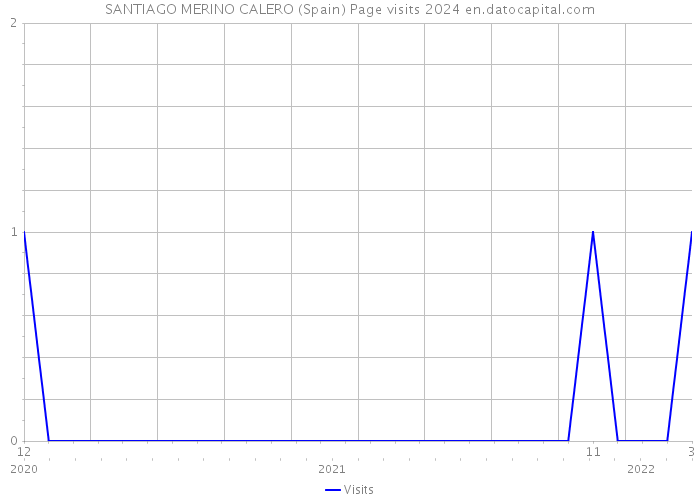 SANTIAGO MERINO CALERO (Spain) Page visits 2024 