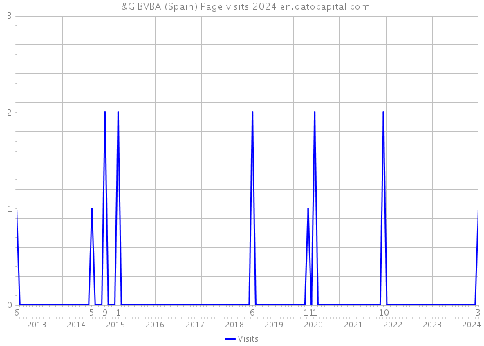 T&G BVBA (Spain) Page visits 2024 