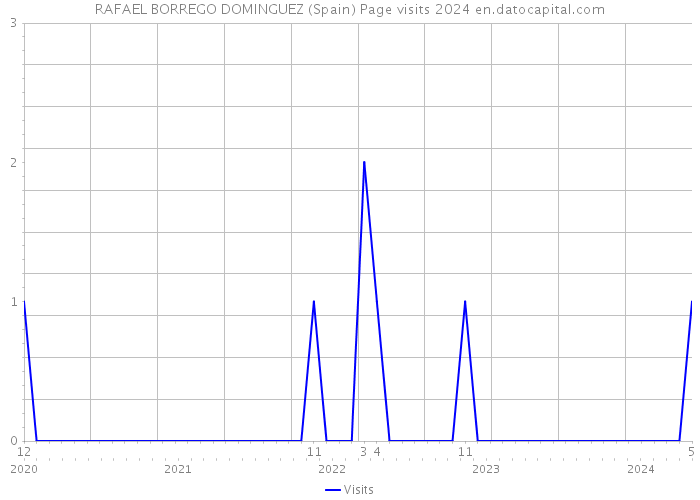 RAFAEL BORREGO DOMINGUEZ (Spain) Page visits 2024 