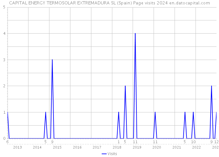 CAPITAL ENERGY TERMOSOLAR EXTREMADURA SL (Spain) Page visits 2024 