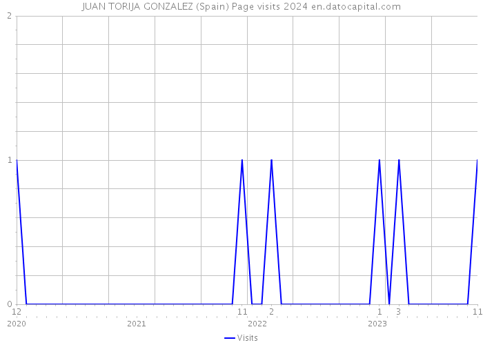 JUAN TORIJA GONZALEZ (Spain) Page visits 2024 