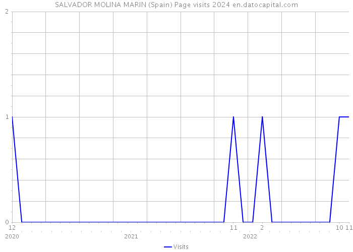 SALVADOR MOLINA MARIN (Spain) Page visits 2024 