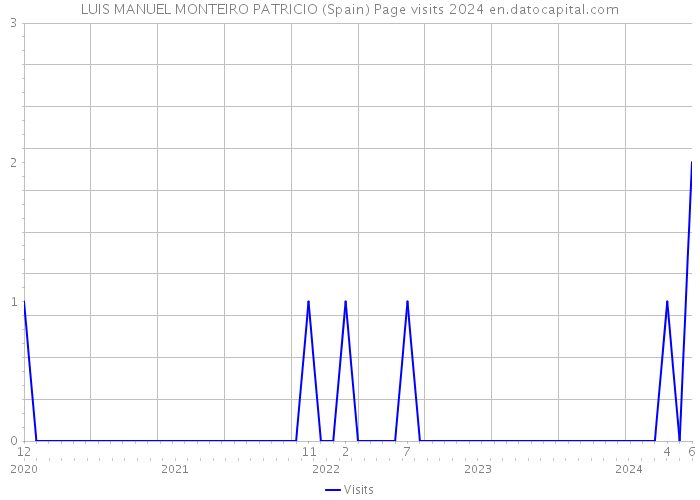 LUIS MANUEL MONTEIRO PATRICIO (Spain) Page visits 2024 